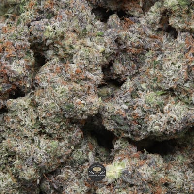 Pink Death Star (gas) AAAA indica flower — multiple bud gallery image
