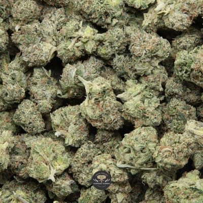 Pink Fuego Smalls indica flower smalls — close-up product photo