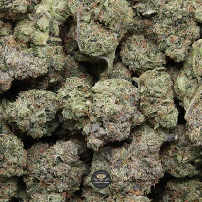 Pink Tuna AAA+ indica flower — packaged bag of cannabis flower