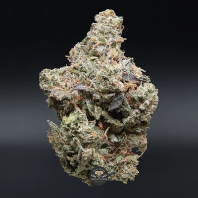 Pink Tuna AAA+ indica flower — close-up of a dense, frosty purple-tinged bud