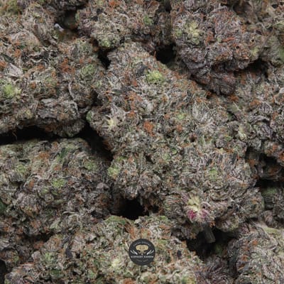Supreme Death Bubba