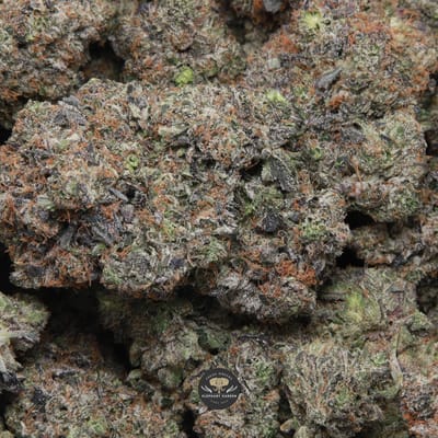 Astro Pink indica flower — gallery image 1