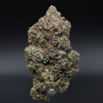 Astro Pink indica flower — close-up product photo