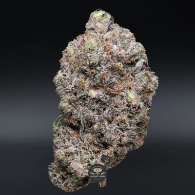 Coastal Pink AAAA indica flower, close-up product photo