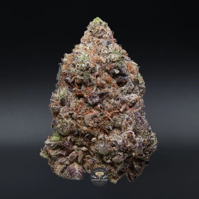 Death Tuna indica flower — close-up product photo