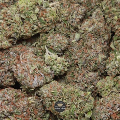 Greasy Death Bubba AAA+ indica flower, buds gallery photo