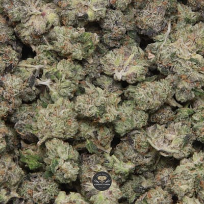 Pink Gas Popcorn indica popcorn buds — close-up product photo
