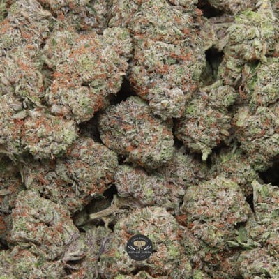 Pinkman Goo AAA+ indica flower, buds gallery photo