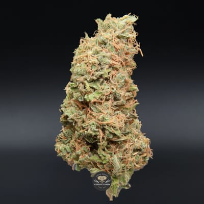 Red Congolese sativa flower close-up product photo