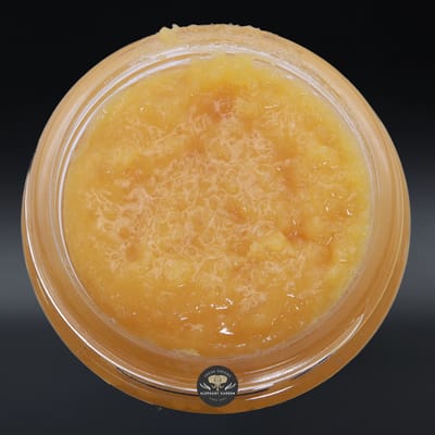Bubblegum Cake live resin concentrate, amber sauce in a glass jar