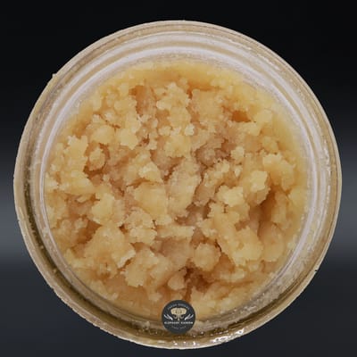 Cherry Pie Live Resin hybrid concentrate — terpene-rich sauce in a glass dish