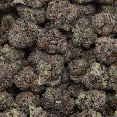 Death Gas Smalls indica flower — close-up of frosty diesel-gas smalls