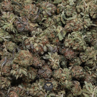 Greasy Death Bubba Popcorn
