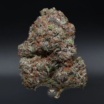 Greasy Pink indica flower, close-up product photo