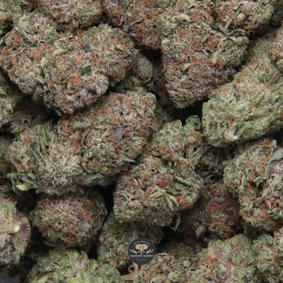 OG Octane indica flower, macro shot of buds
