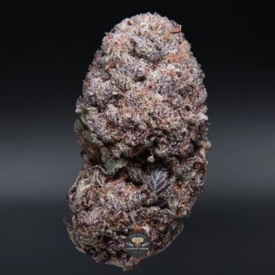 Purple Milk