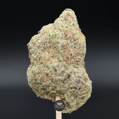 Sour Banana Sherbet