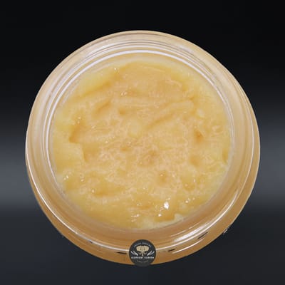 Sugar Cane live resin concentrate, amber sauce in a glass jar