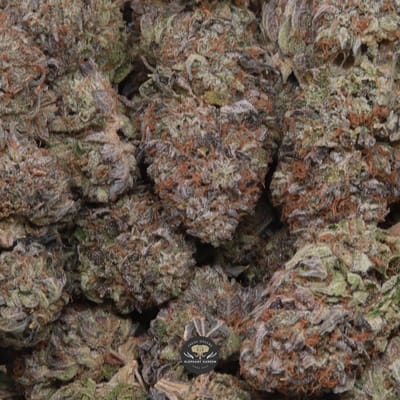 Tom Ford Pink indica flower, close-up of the pink and purple frosted buds