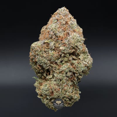 Acapulco Gold