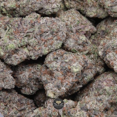 Blackberry Octane hybrid flower - macro shot of trichome-coated buds