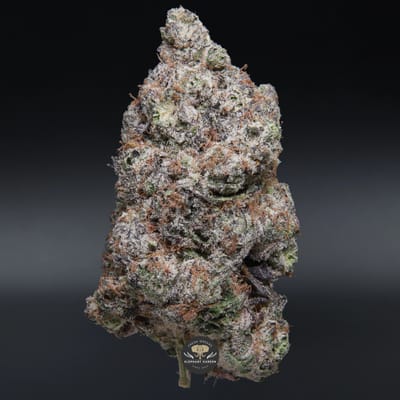 Blackberry Octane