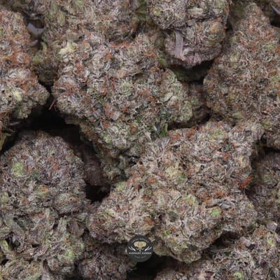 Cali Octane indica flower, macro shot of trichome-coated buds
