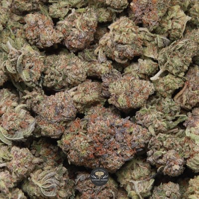 Captain’s Pink popcorn indica flower, close-up of small frosted buds with pink-orange pistils
