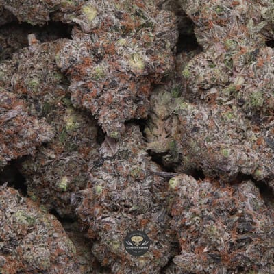 Coastal Pink indica flower, macro shot of trichome-coated buds