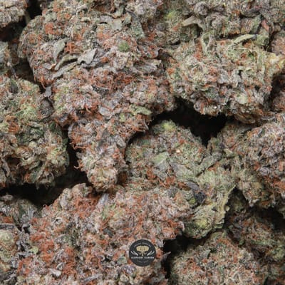 Death Walker AAAA- indica flower: close-up of trichome-frosted buds
