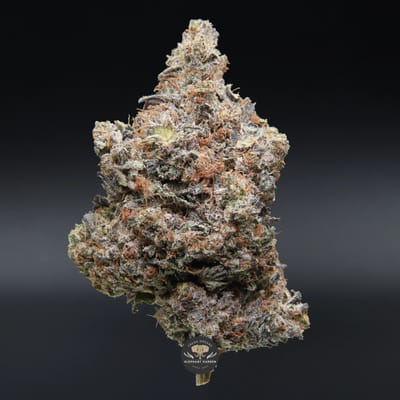 Death Walker AAAA- indica flower: jar of dense olive-green buds with amber pistils
