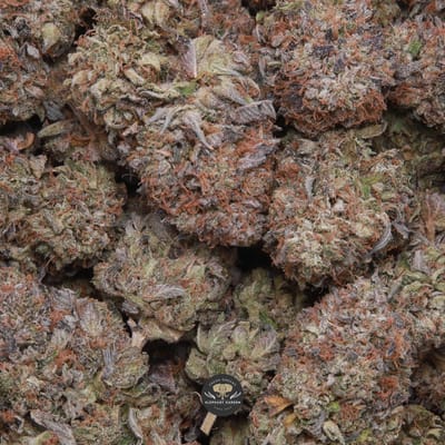 Ghost Bubba indica flower, macro shot of trichome-coated buds