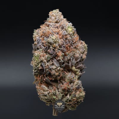 Ghost Bubba indica flower, close-up product photo of the jar