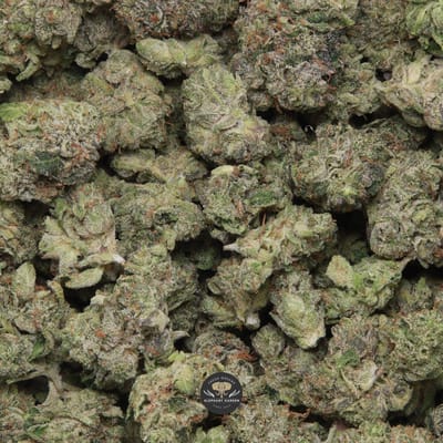 Pink Tuna Smalls AAA+ indica flower, close-up of small dense gas-forward buds