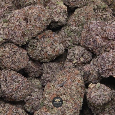 Purple Cereal Milk AAA+ hybrid flower, buds showing deep purple colouration and trichome frost
