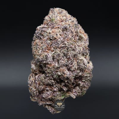 Purple Cereal Milk AAA+ hybrid flower, close-up of purple-tinted buds