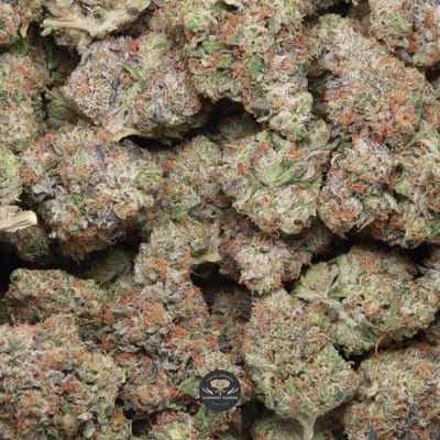 Ahi Tuna AAA+ indica flower - gallery image 1, cured buds close up