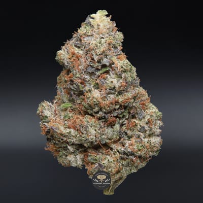 Ahi Tuna AAA+ indica flower - close-up product photo of dense gassy buds