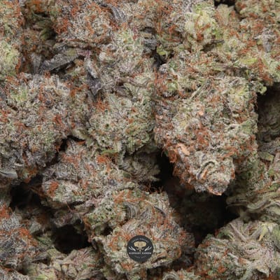 Biscotti Dough hybrid flower - macro shot of trichome-frosted buds, gallery image 1