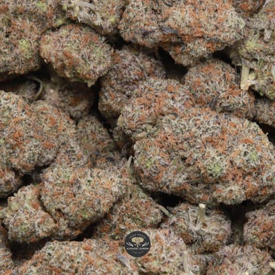 Cadillac Rainbow hybrid flower - gallery image 1