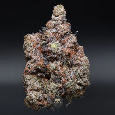 Death Walker indica flower, close-up of olive-green bud with amber pistils and crystal trichomes