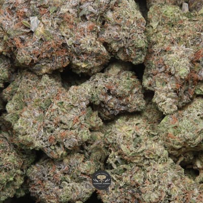 Diablo OG AAA+ indica flower gallery image 1 showing bud structure and trichome coverage