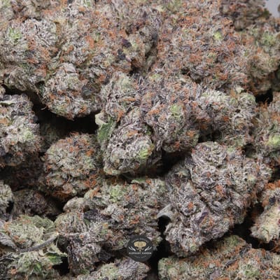 Doughboy Pink indica flower, gallery shot of multiple trimmed buds