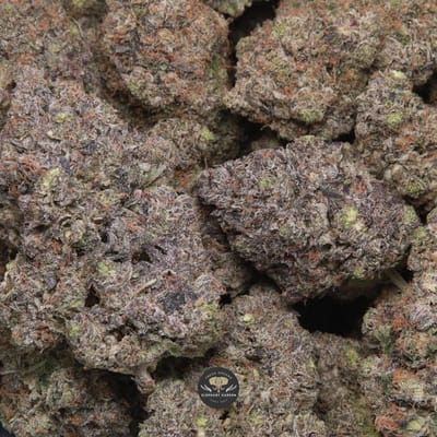 El Chapo indica flower gallery image 1, macro shot of trichome-coated buds