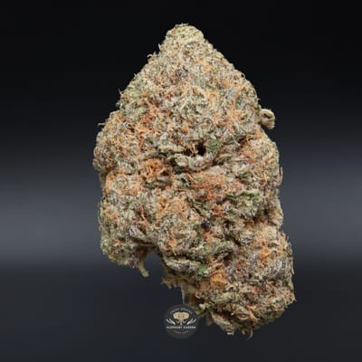 Frosted Donuts AAA+ hybrid cannabis flower: close-up of frosted, trichome-coated buds