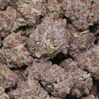 Galactic Runtz hybrid flower - macro shot of trichome-coated buds, gallery image 1