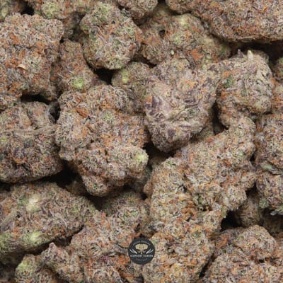 Jelly Cake hybrid flower, gallery photo of cured buds showing trichome coverage