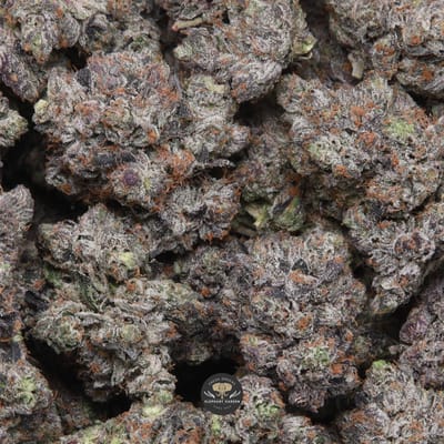 LSO Pink Wagyu indica flower, gallery shot of cured buds with pink pistils