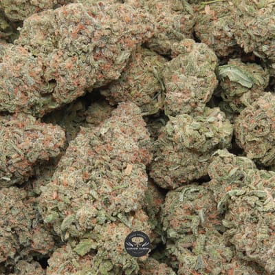 Mango Haze sativa flower, macro shot of the buds