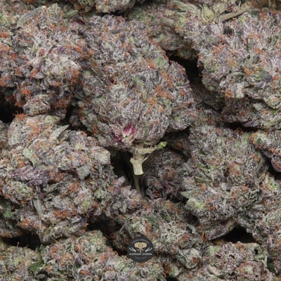 Pine Tar indica flower - gallery image of cured buds with orange hairs